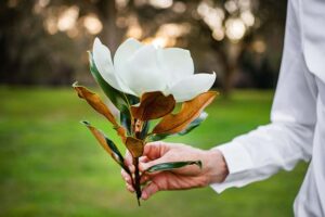 The Incredible Symbolism Of The Magnolia Tree