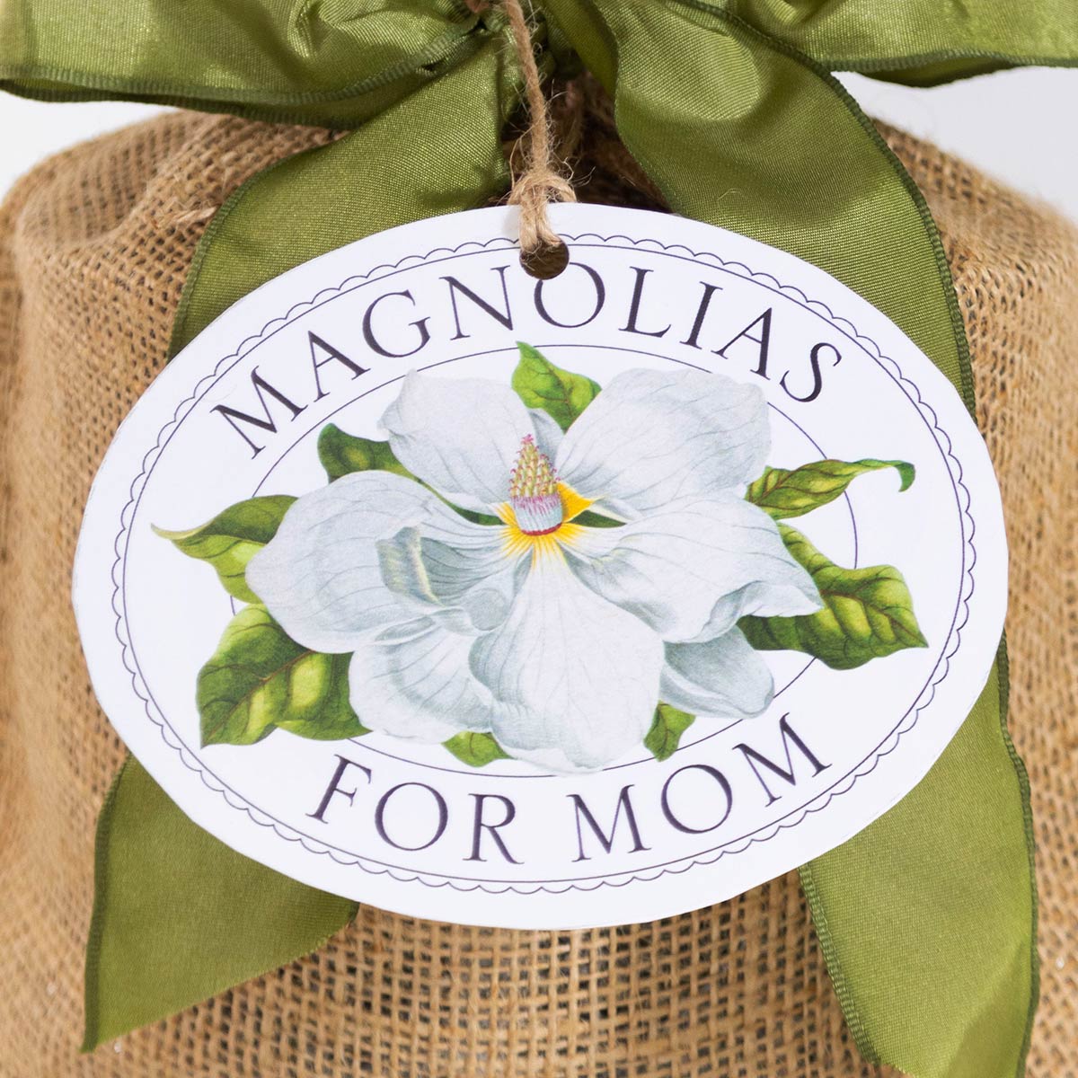 Magnolias for Mom