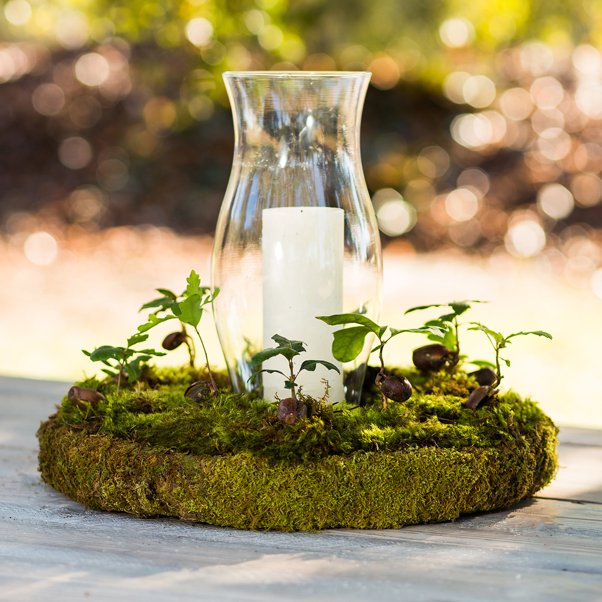 moss center piece